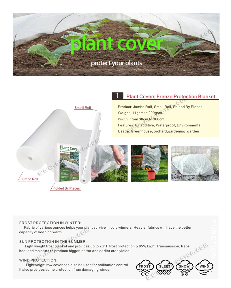 Agriculture Products Covering Flowers for Frost, Protecting Plants From Cold, Best Plant Covers for Winter