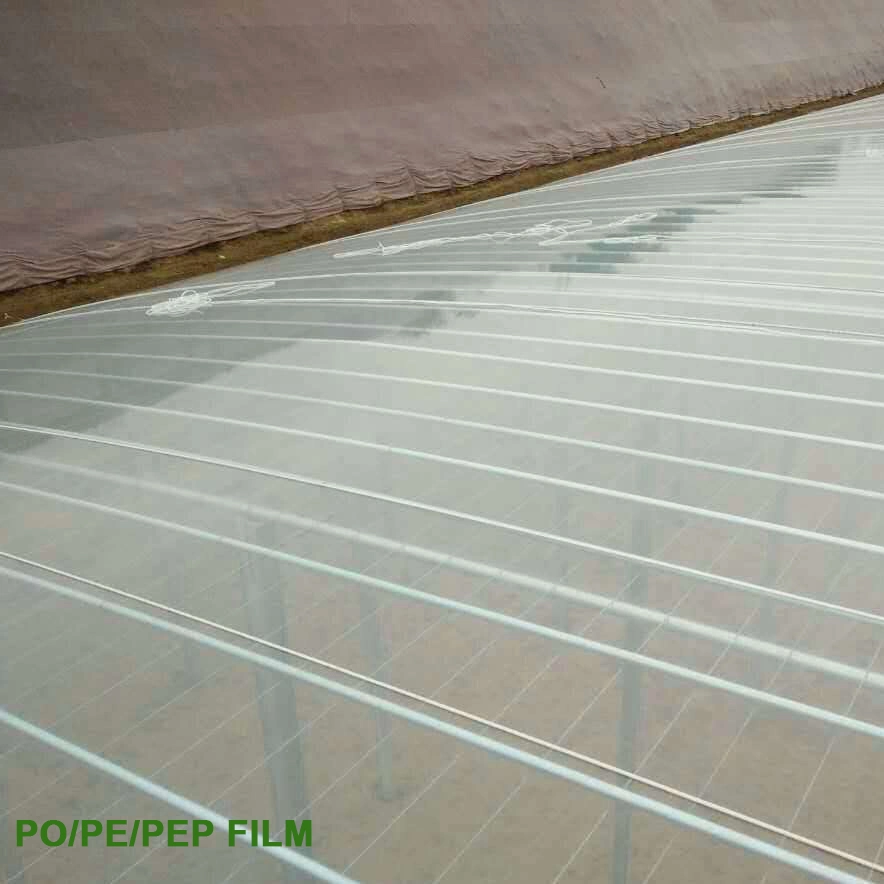 Agricultural Greenhouse Plastic Sheet Covering for Sale