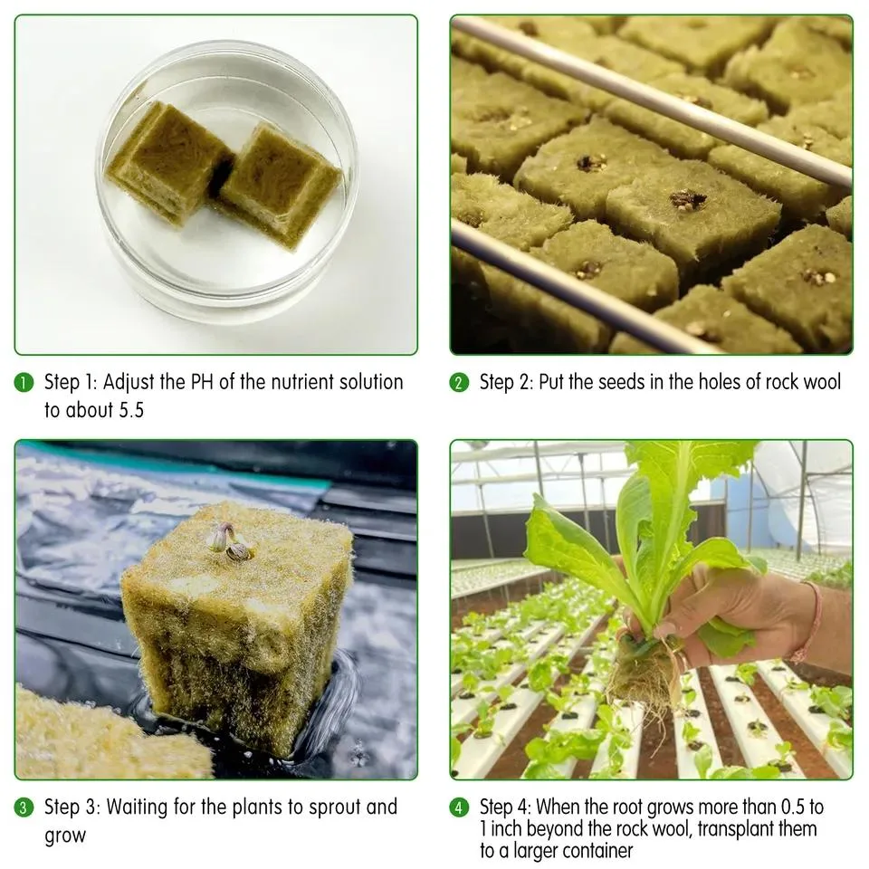 Hydroponic Rock Wool Cubes for Seeding Growing