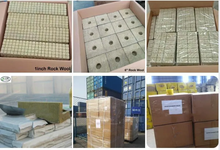 Growing Rock Wool Cubes Plant Grow Substrate Mineral Rockwool Cube