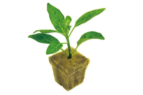 Rockwool Hydroponic Grow Plant Starter Cubes Price for Lettuce Soilless Growing 