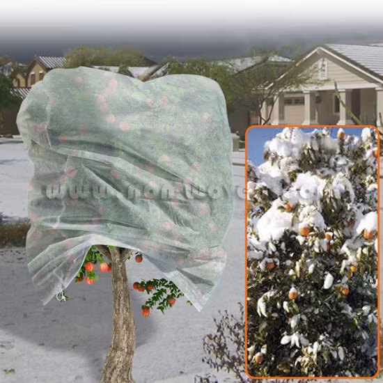 Agriculture Products Covering Flowers for Frost, Protecting Plants From Cold, Best Plant Covers for Winter