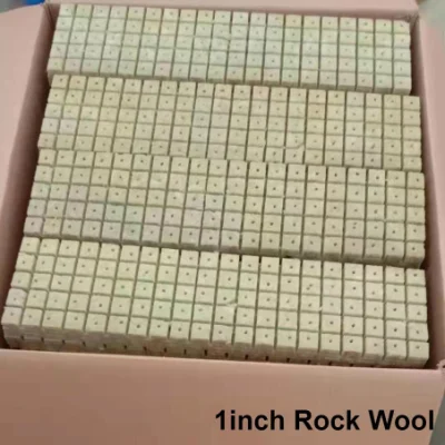 Growing Rock Wool Cubes Plant Grow Substrate Mineral Rockwool Cube