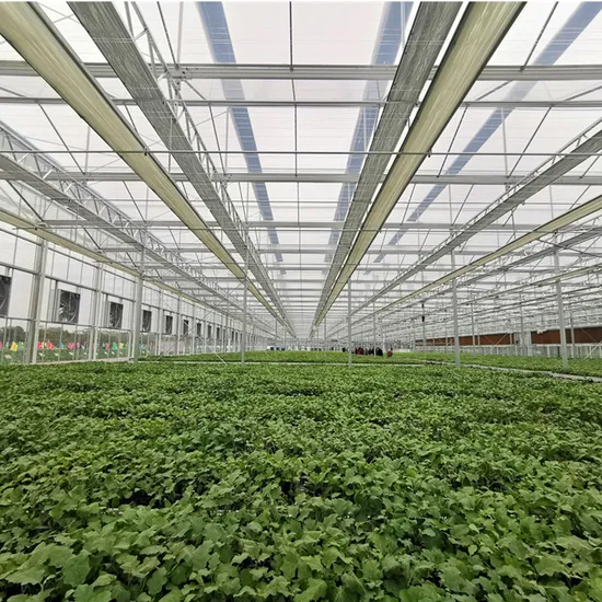 Four Seasons Building Materials for Greenhouse Covering 
