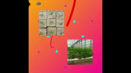 Hydroponic Growing Medium Rockwool Cubes 