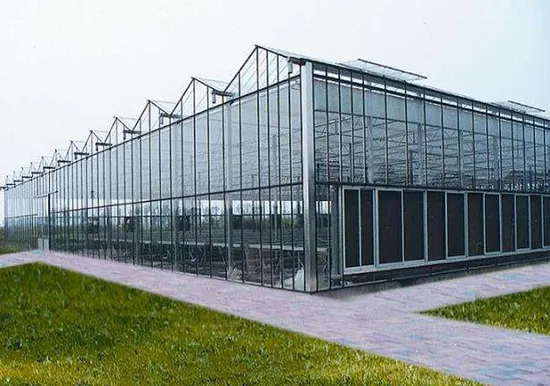 Prefab Greenhouse Polycarbonate/Glass Covering for Flowers and Vegetables 