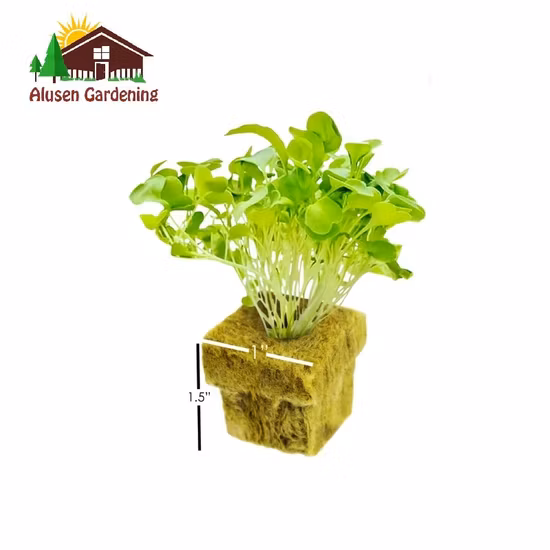 Low Cost Seedling Block Hydroponic System Rock Wool Grow Cubes Customize Rock Wool Cube for Growing Systems