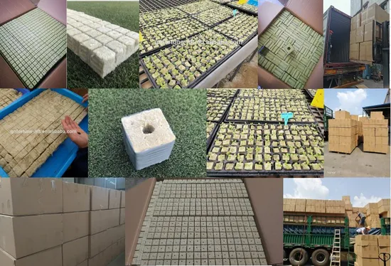 Agricultural Hydroponics Growing Media Hydroponic Rock Wool Cubes 