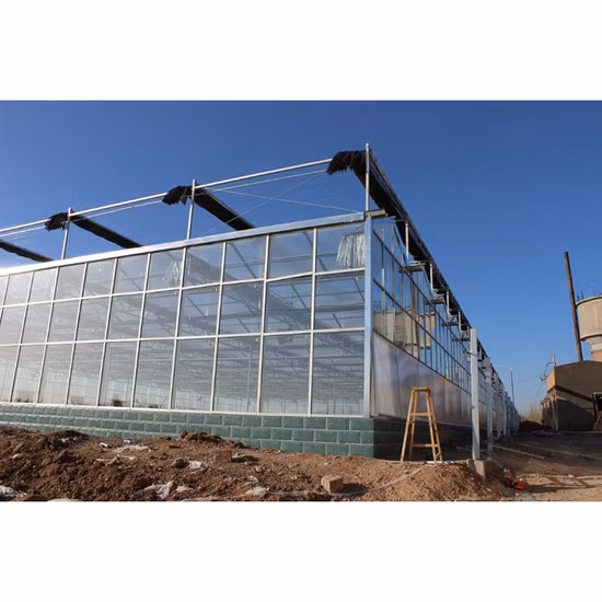 Agricultural Venlo Greenhouse Polycarbonate/Glass Covering for Sale