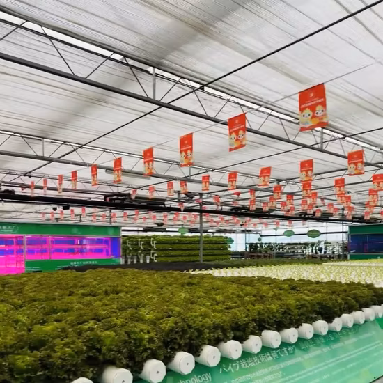 Four Seasons Building Materials for Greenhouse Covering
