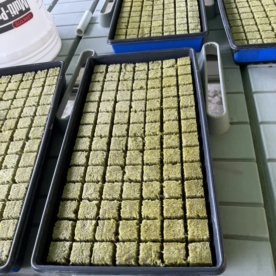 2025 New Seeds Growing Hydroponic Rock Wool Plant Cubes with 2 Holes 